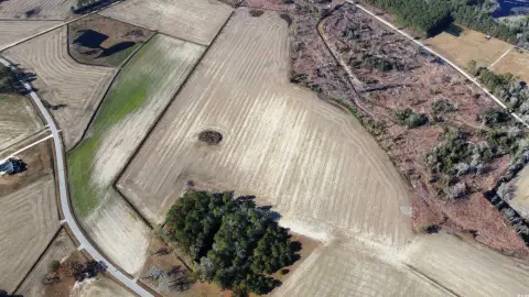 Rare Countryside Retreat Farmland