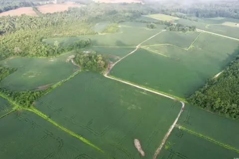 80 Acres of Farmland