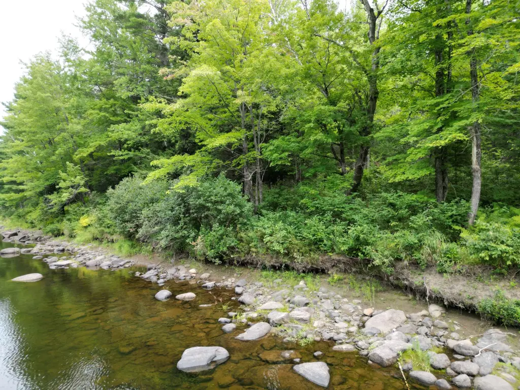 Picture 20