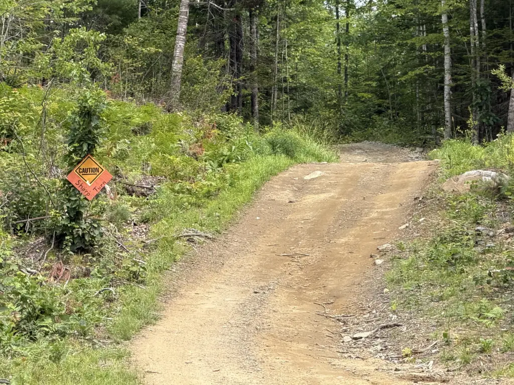 Picture 21