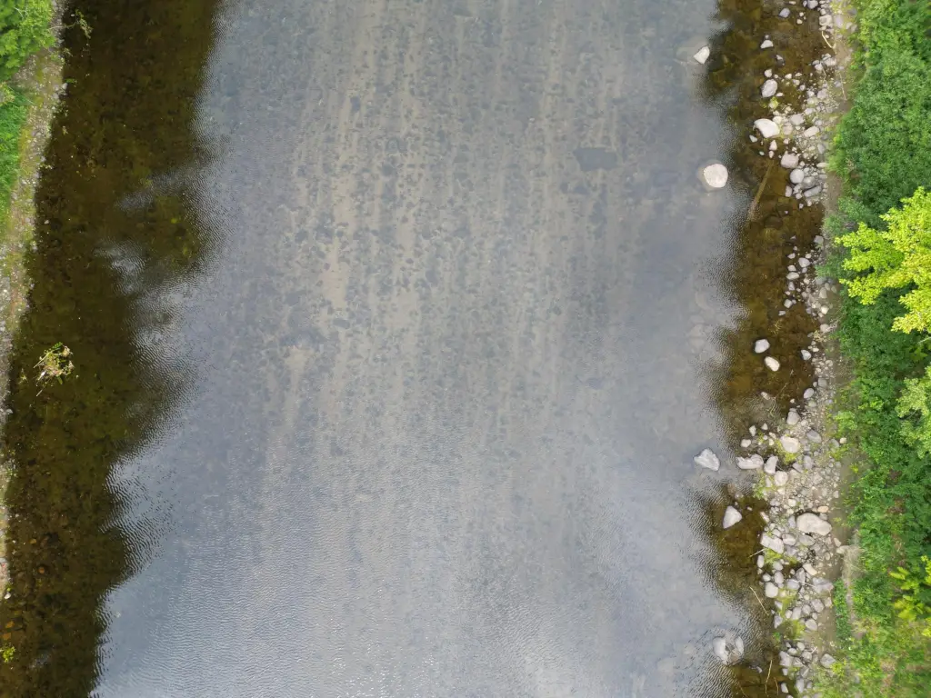 Picture 17