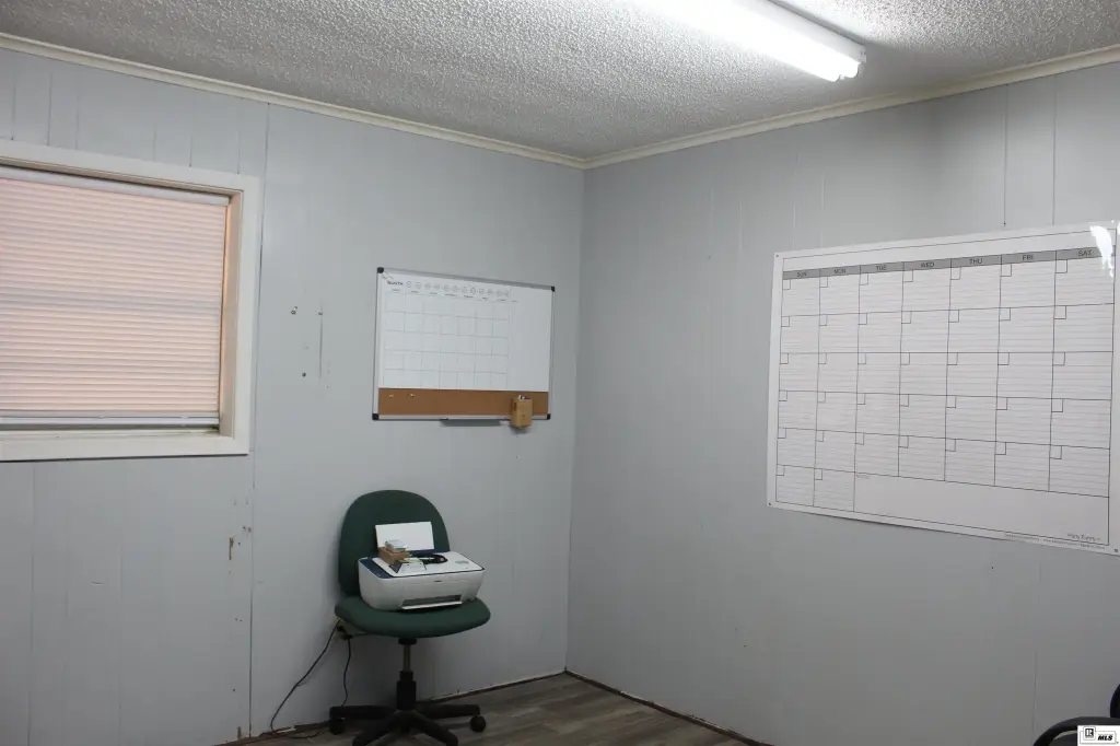 Picture 5