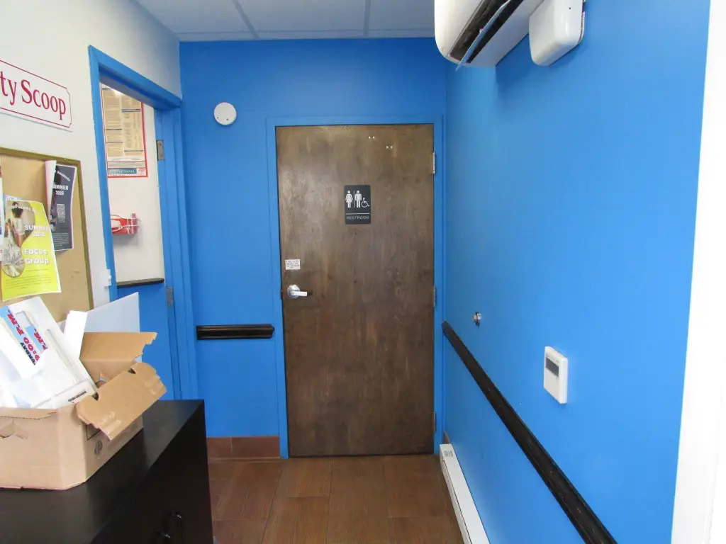 Picture 13