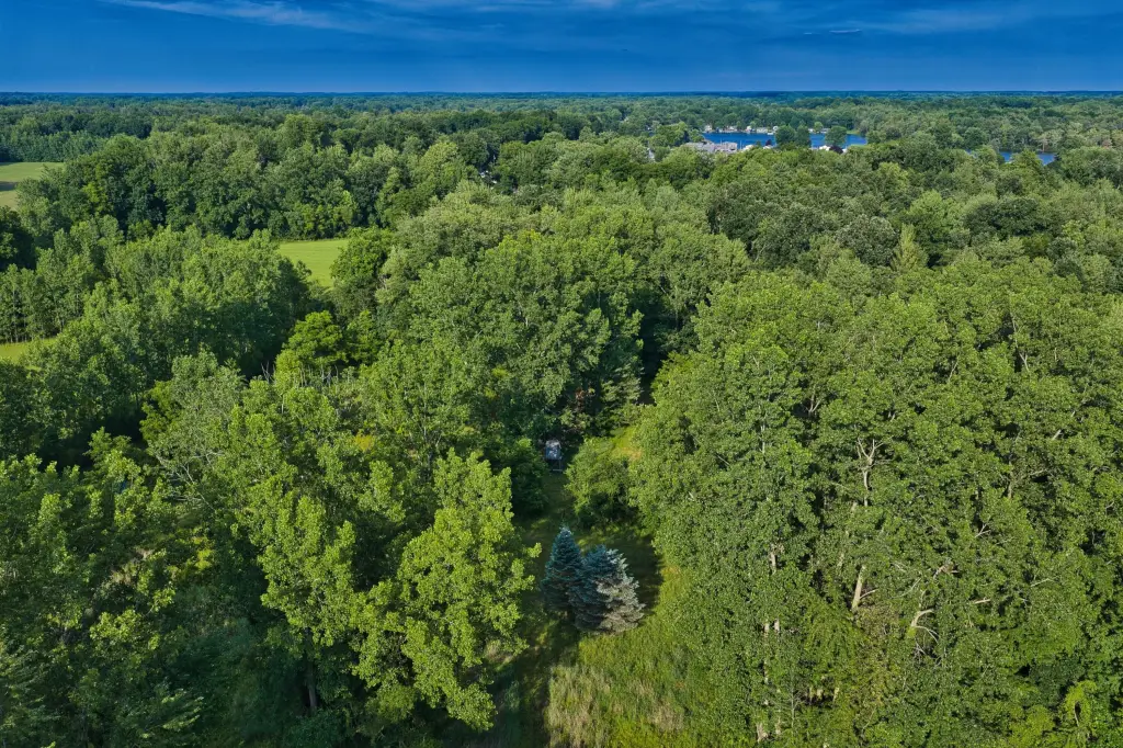 Picture 21