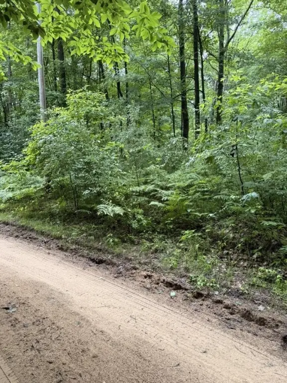 Picture 11