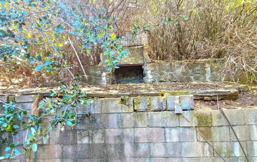 Picture 8