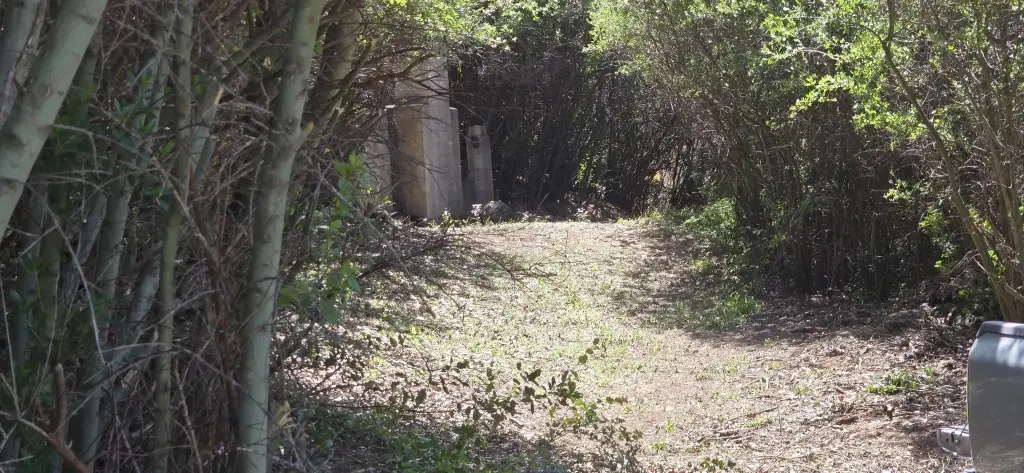Picture 5