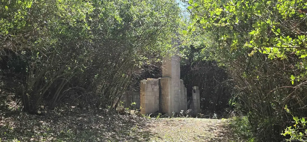 Picture 6