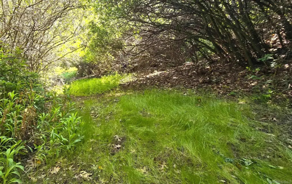 Picture 10