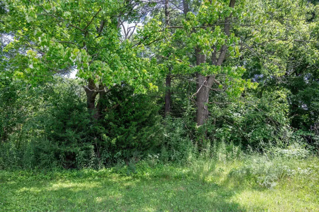 Picture 8