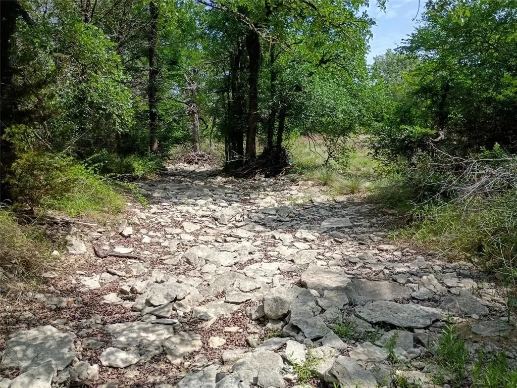 Picture 13
