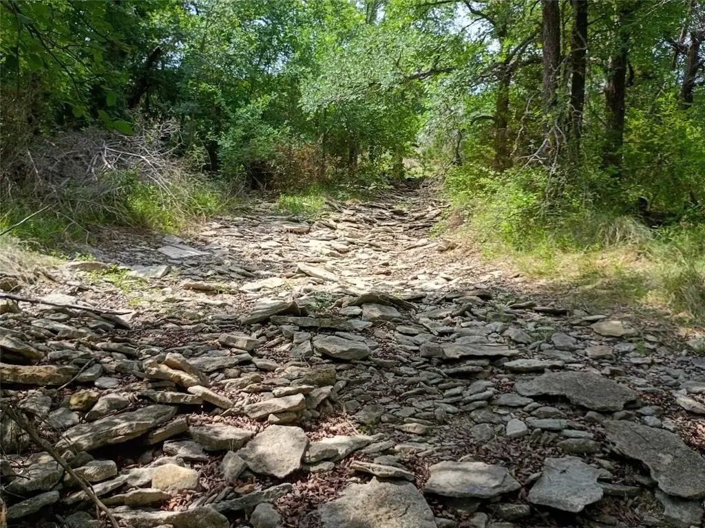 Picture 7