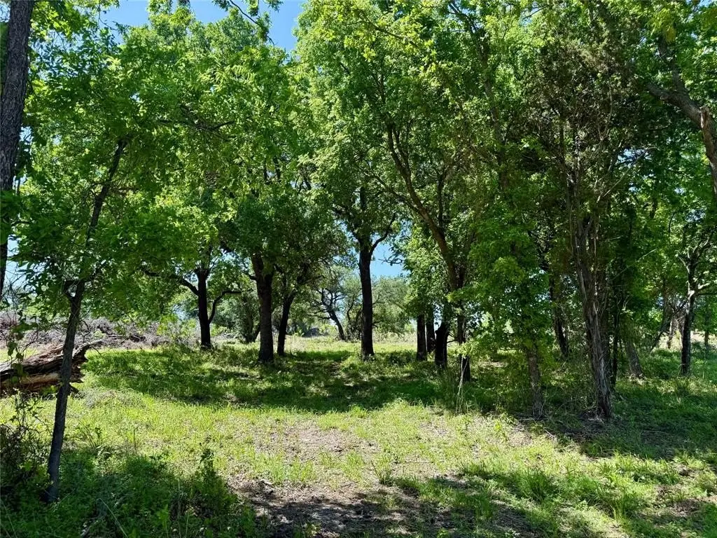 Picture 29