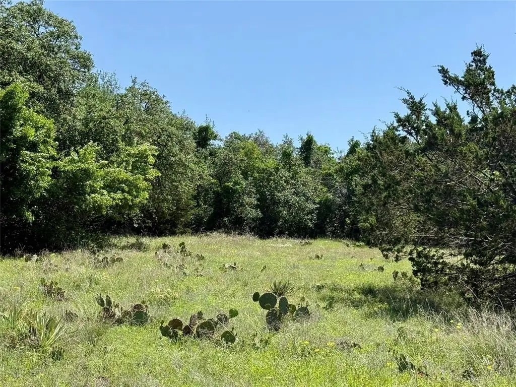 Picture 22