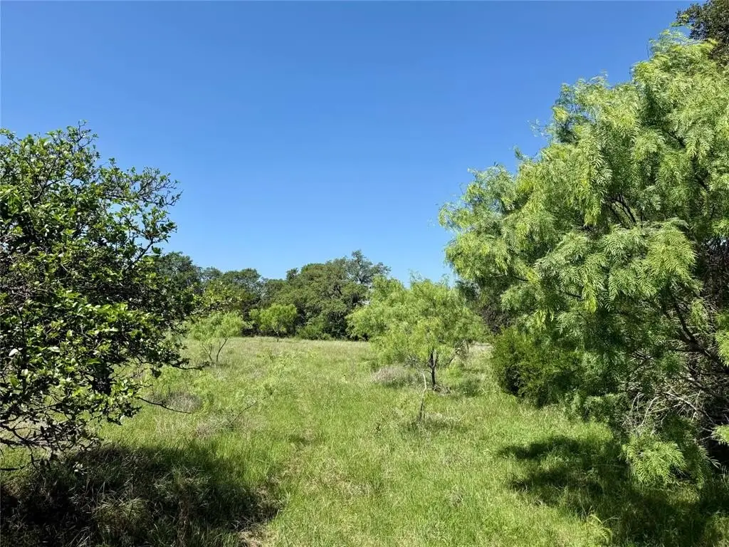 Picture 23