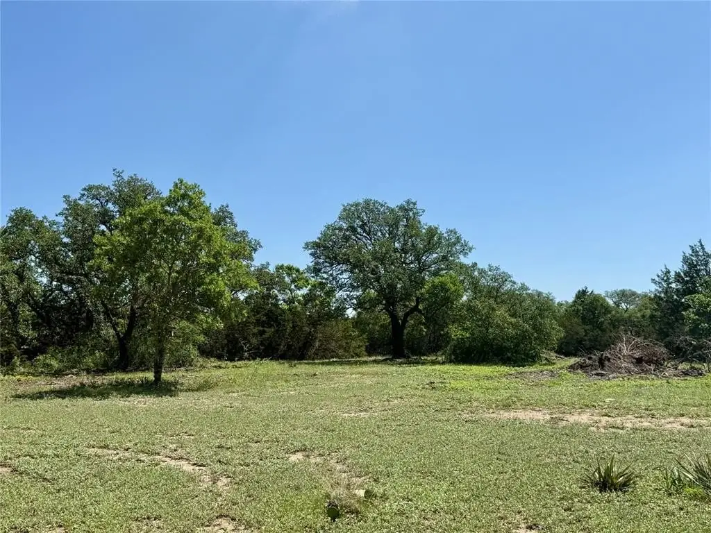 Picture 16