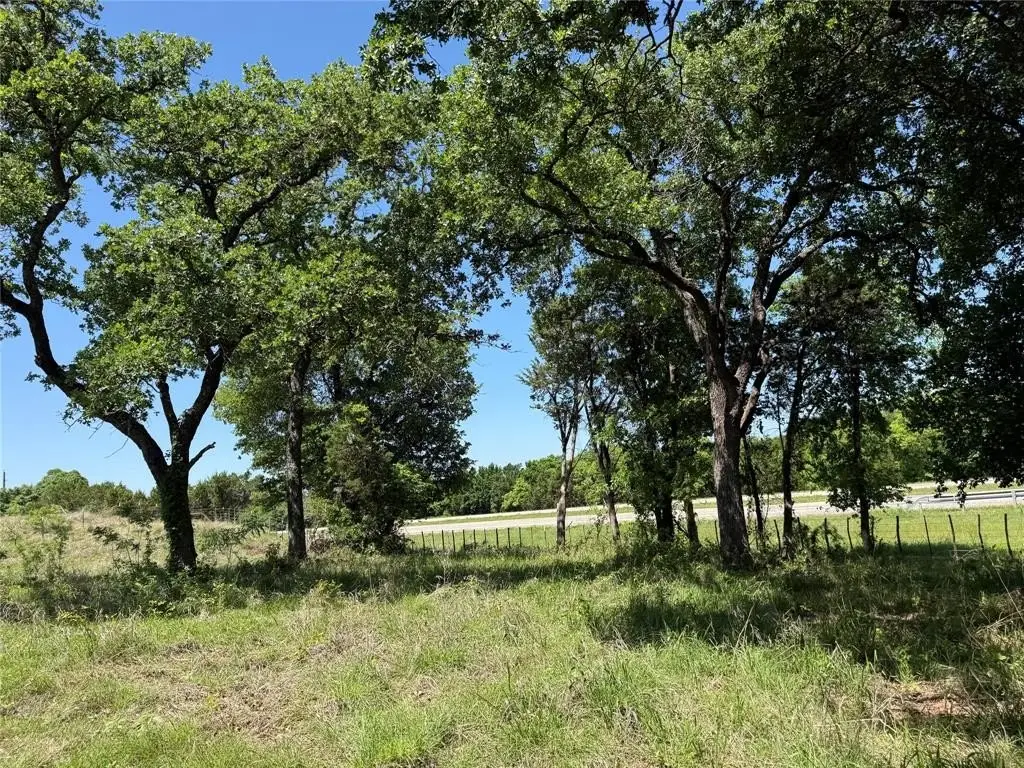 Picture 31