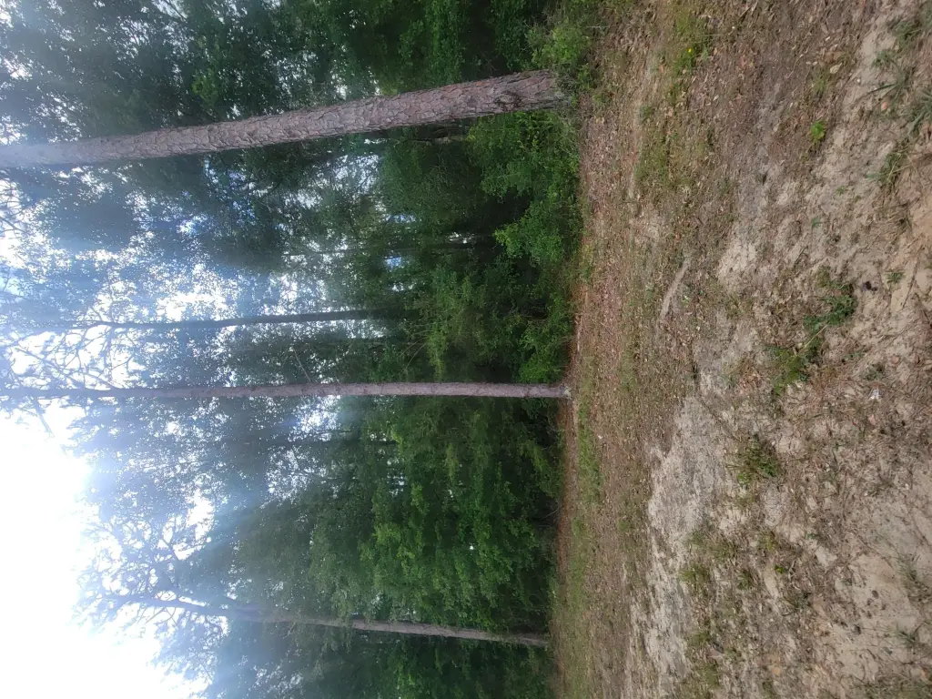 Picture 6