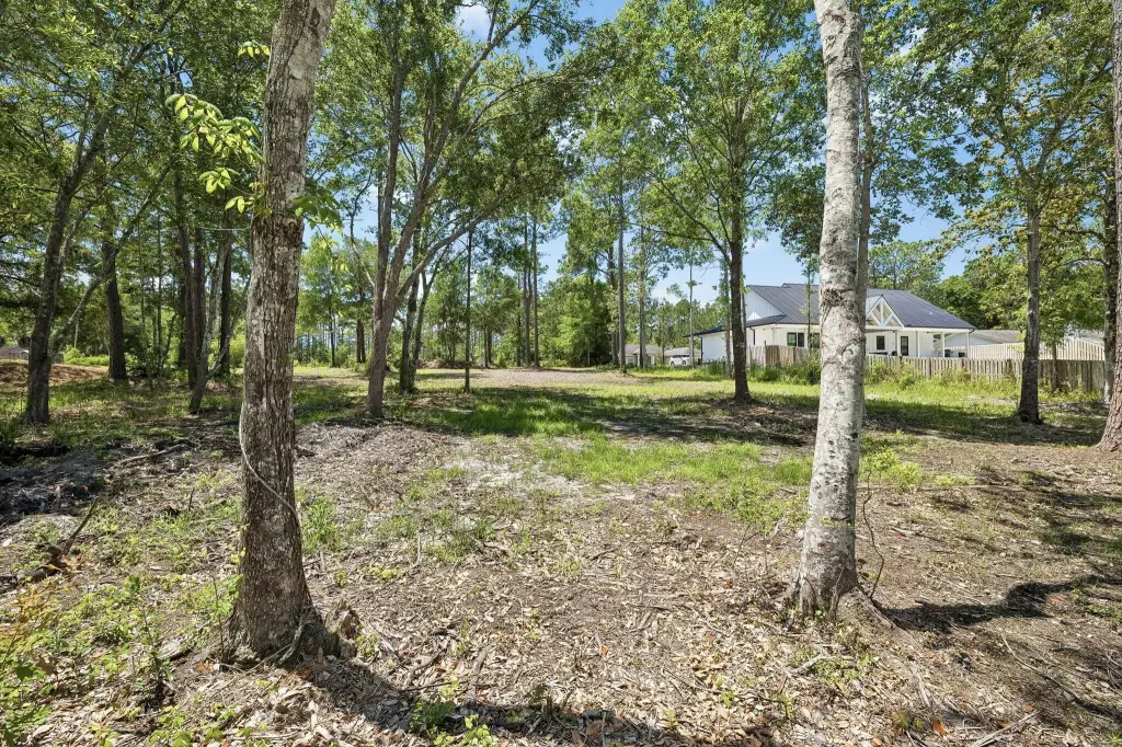 Picture 23