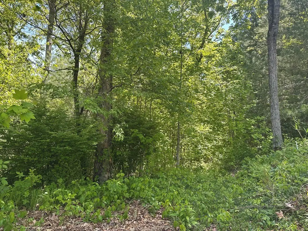 Picture 6