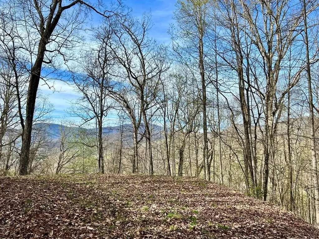 Picture 4