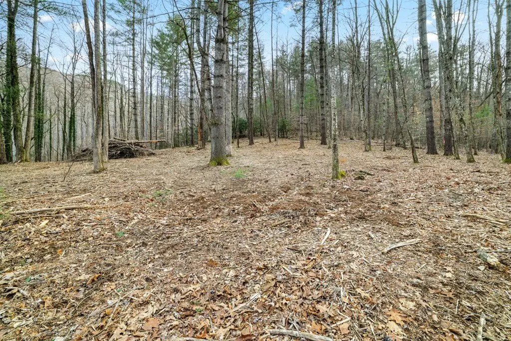 Picture 45