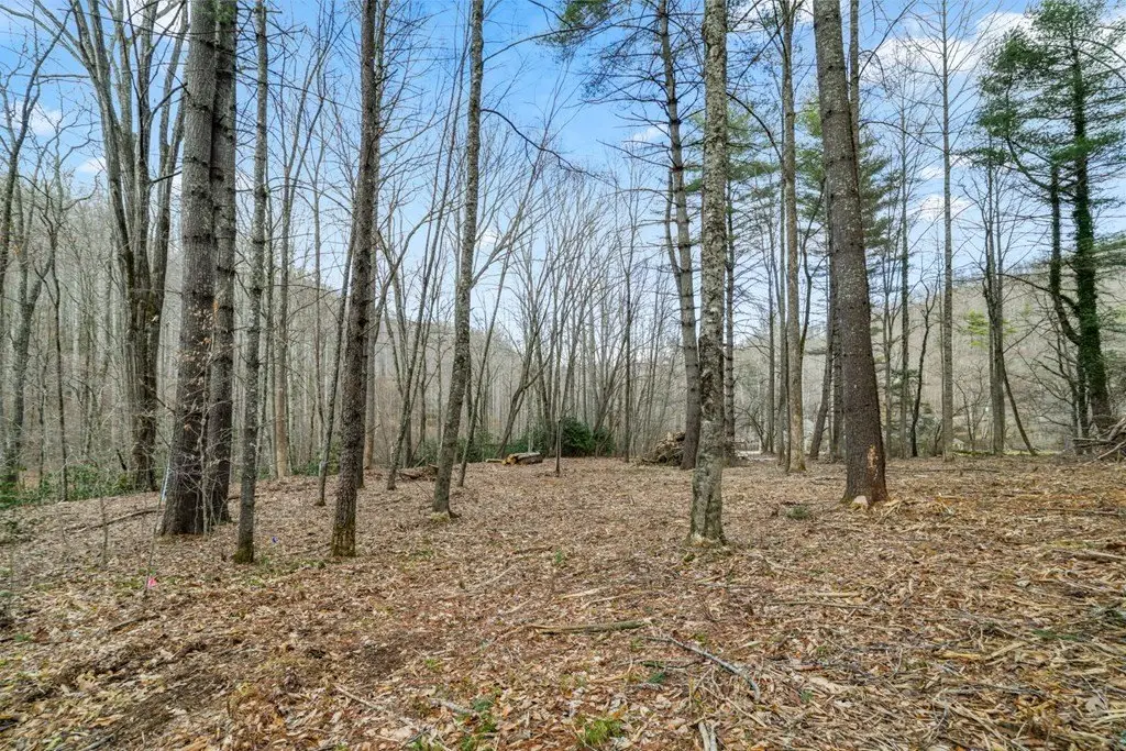 Picture 24