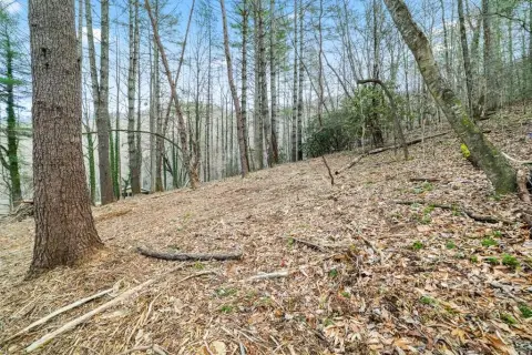 Ready-to-Build Mountain Lots