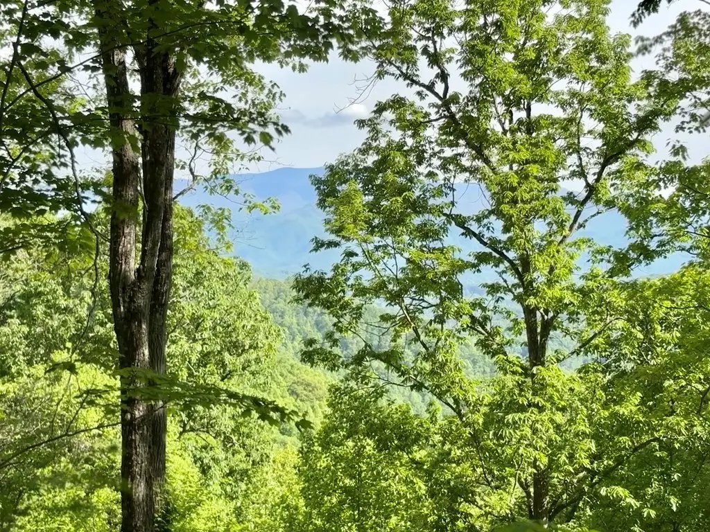 Picture 4