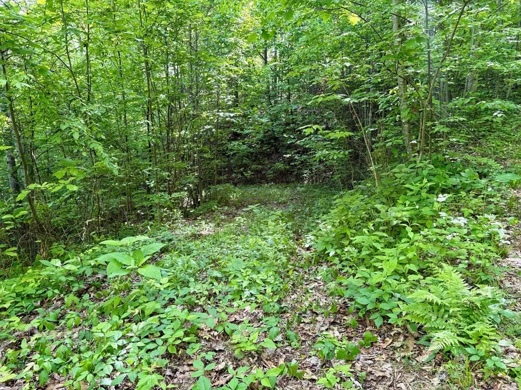 Picture 19
