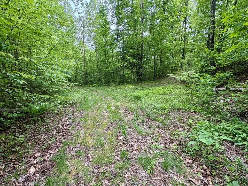 Picture 14