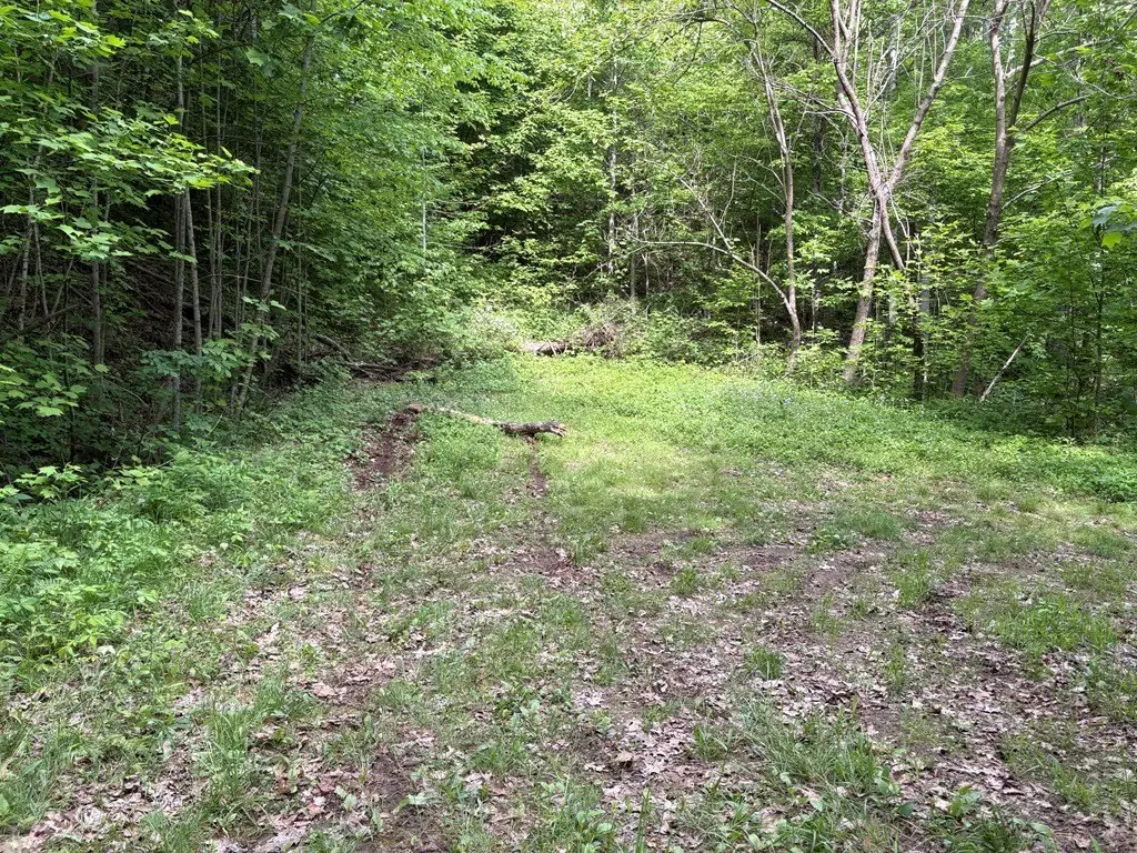 Picture 23