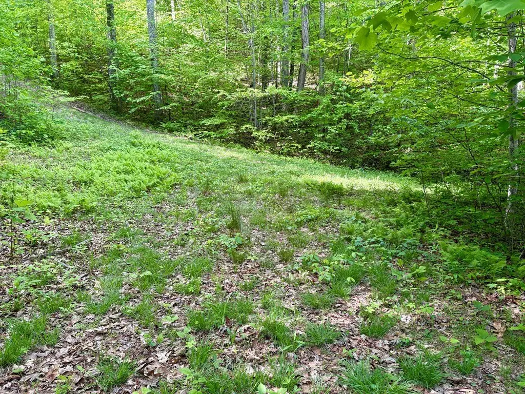 Picture 7