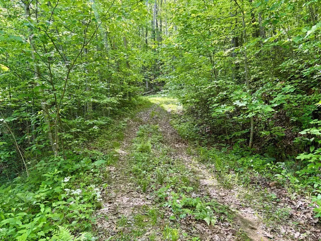 Picture 18