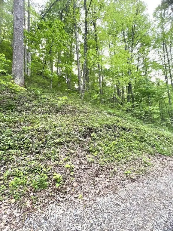 Picture 4