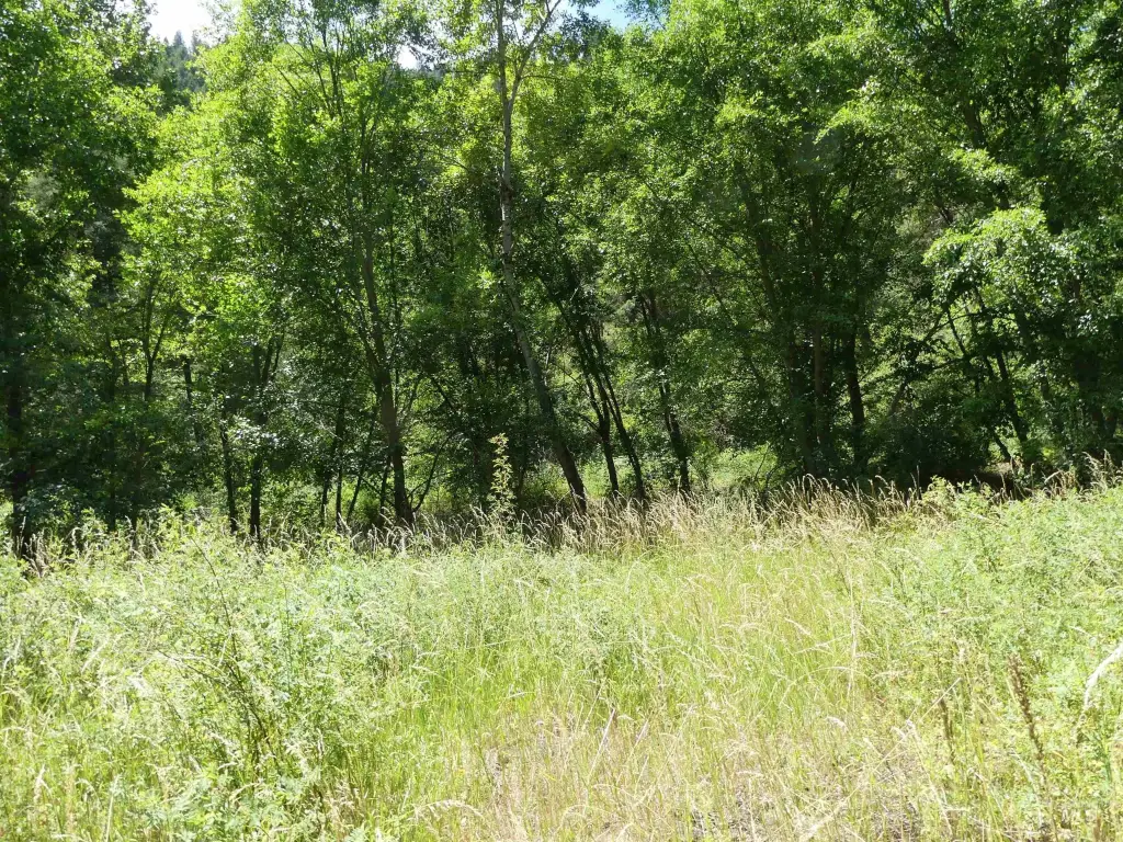 Picture 22