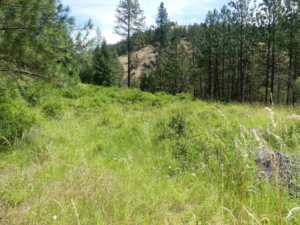 Picture 19