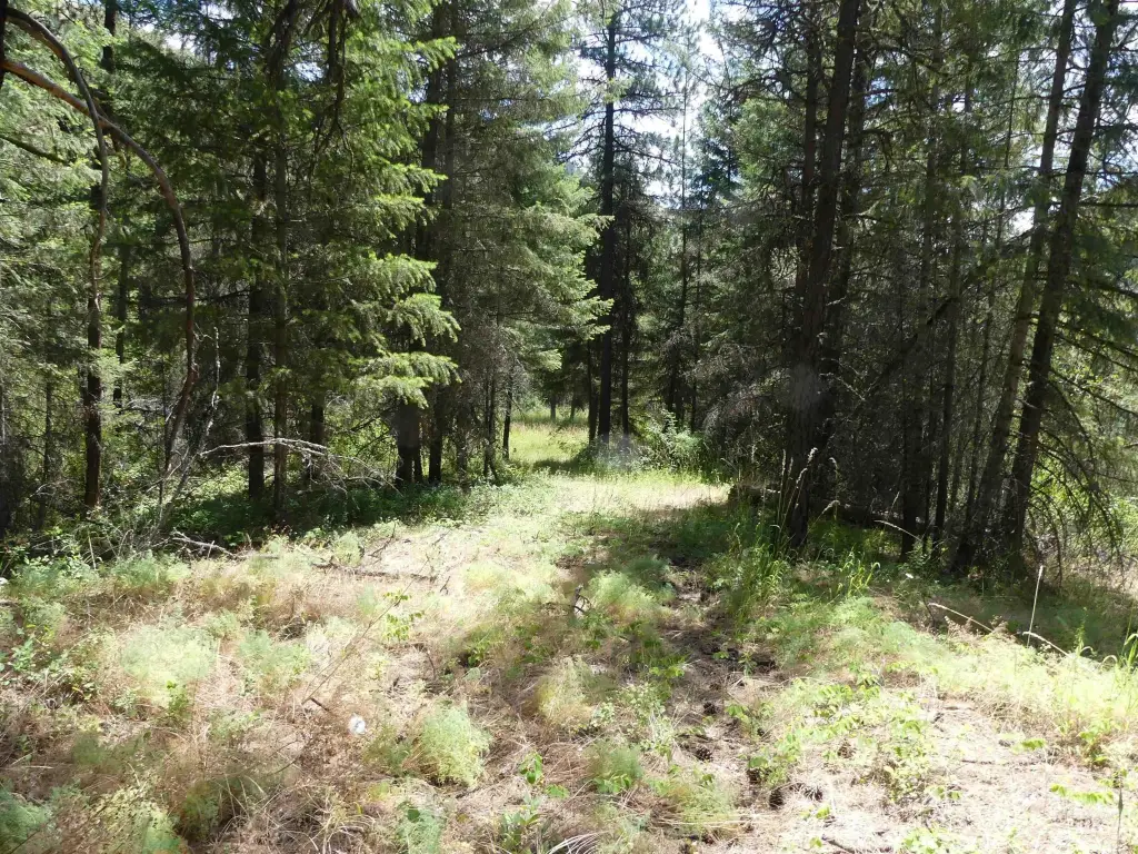 Picture 46