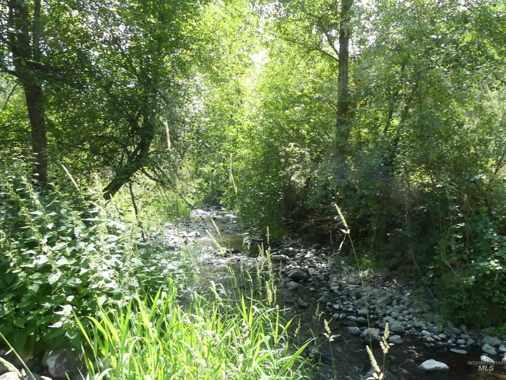 Picture 9