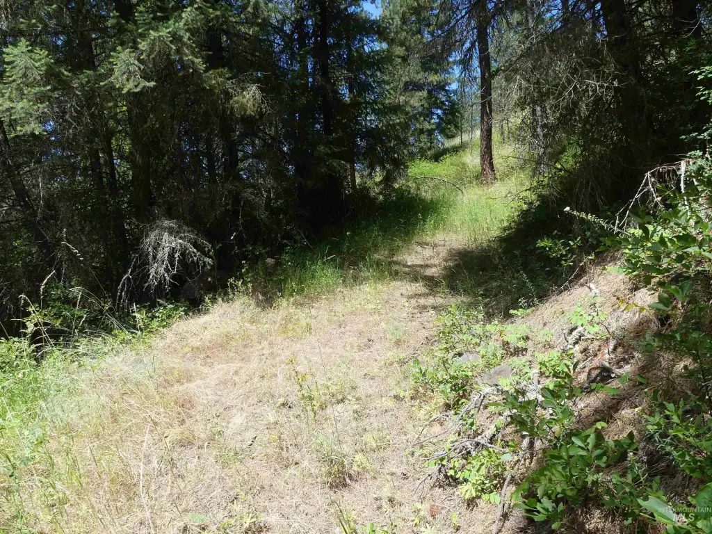 Picture 4