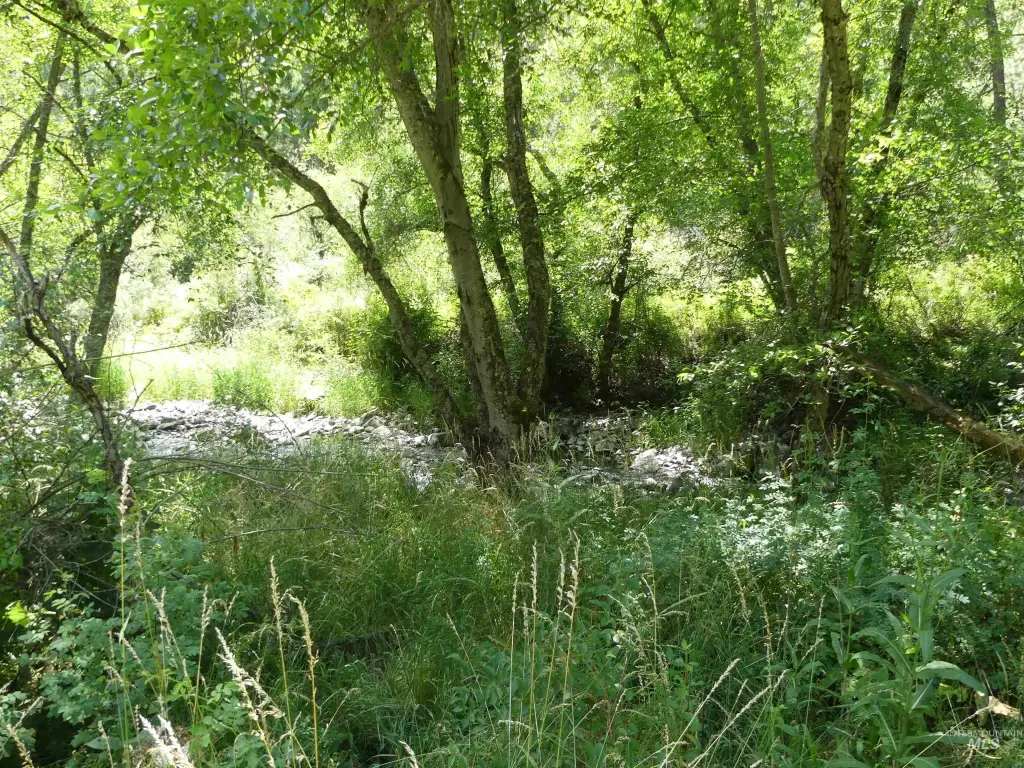 Picture 25