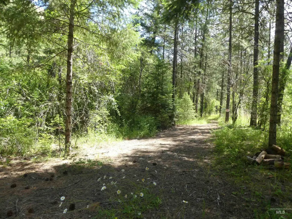 Picture 28