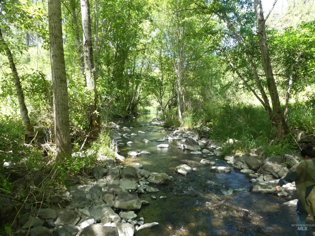 Picture 11