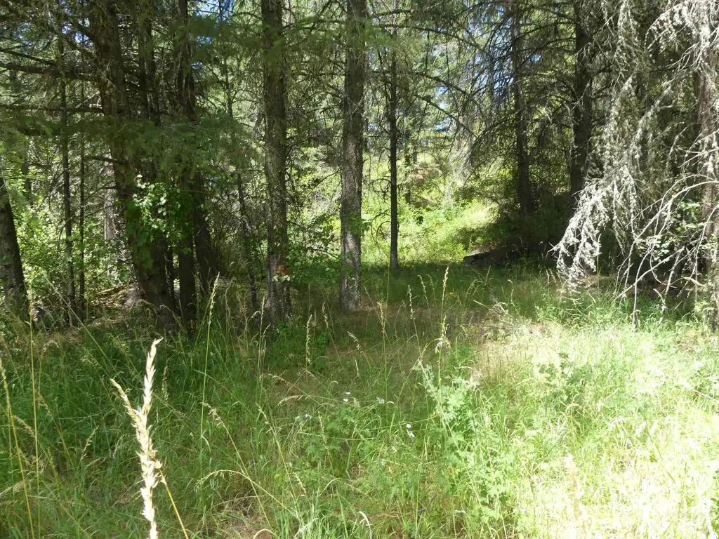 Picture 5