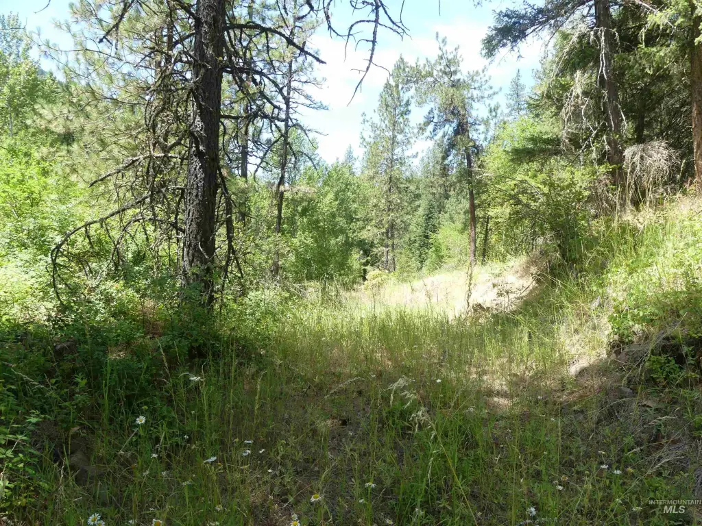 Picture 29