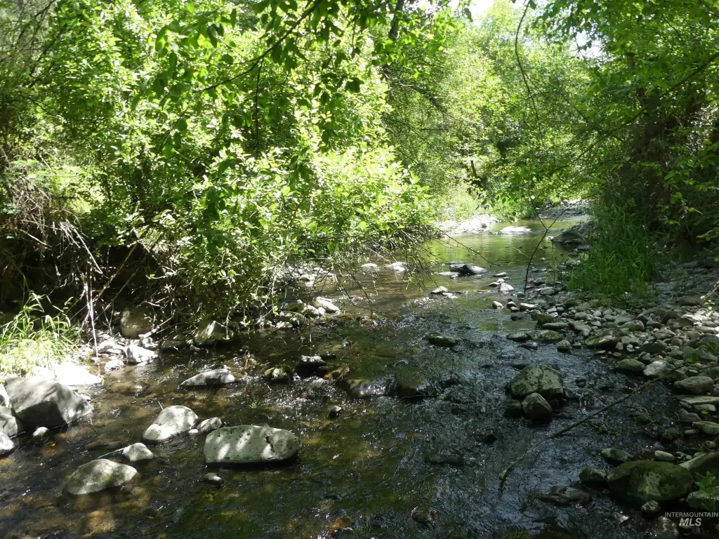 Picture 13