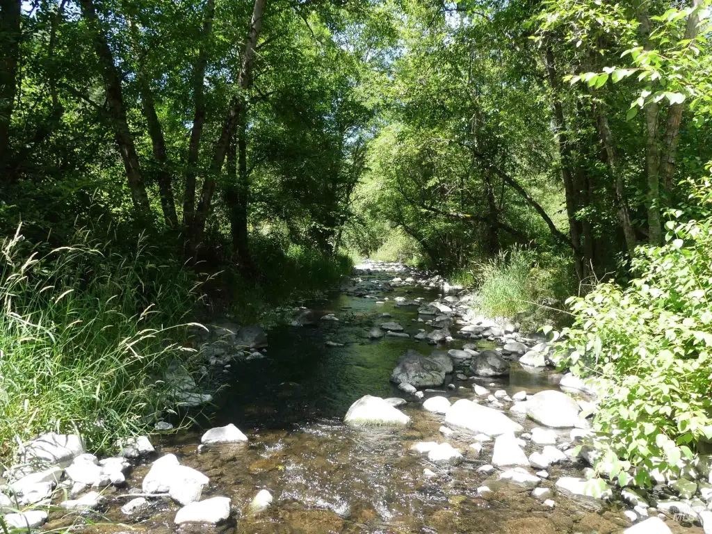 Picture 27