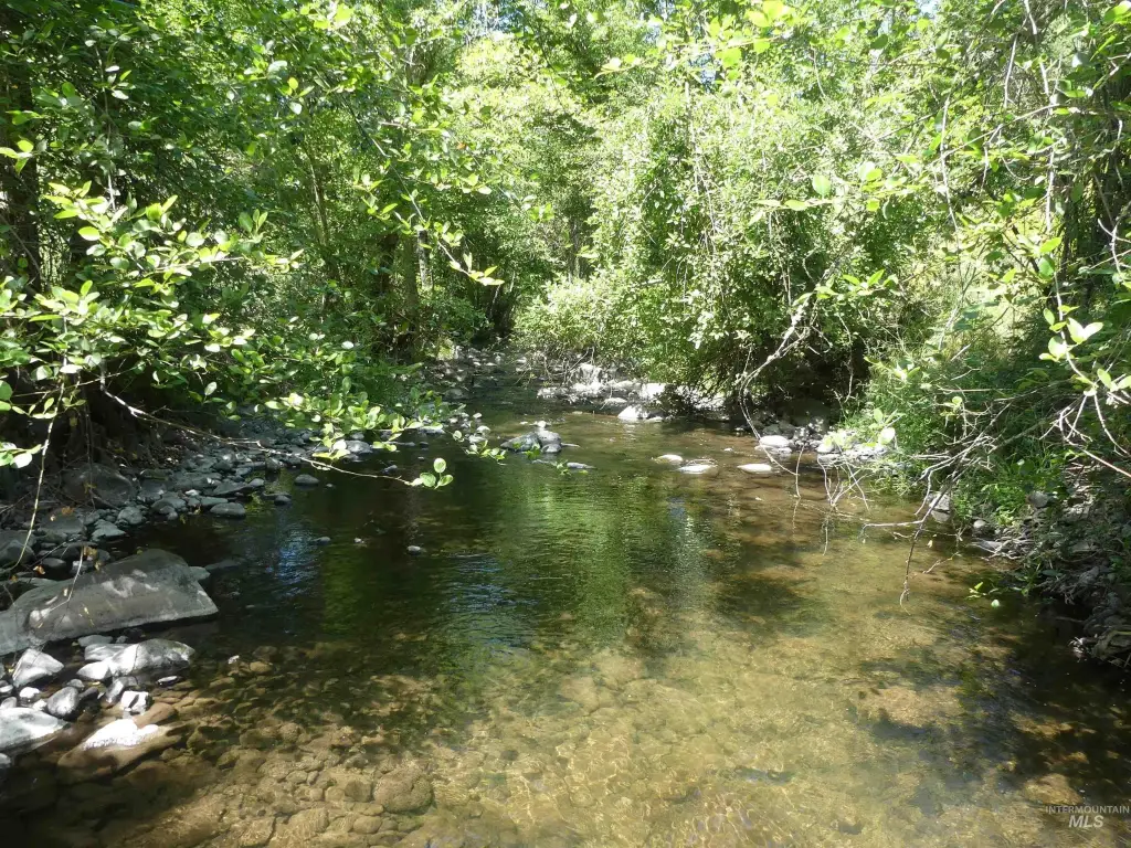 Picture 8