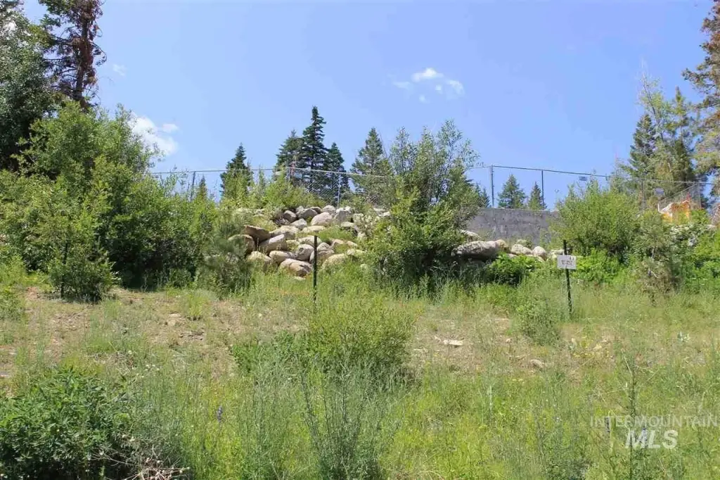 Picture 27
