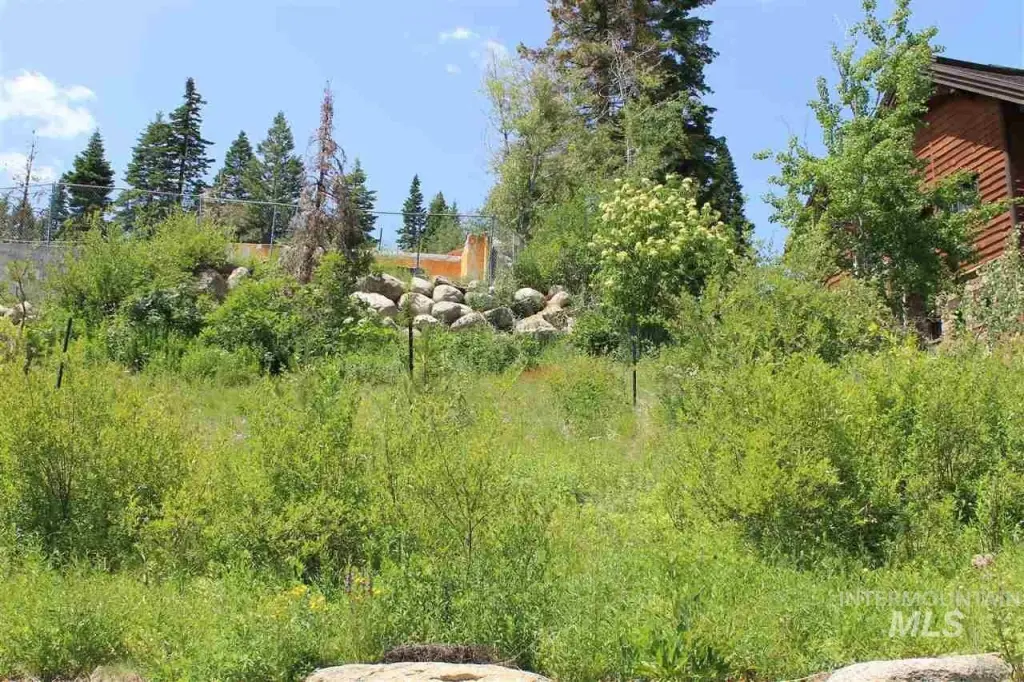 Picture 25